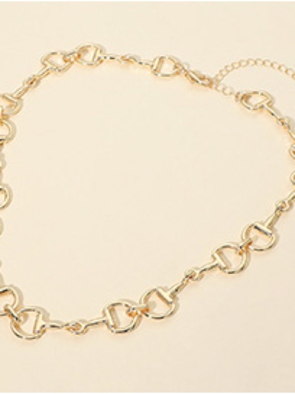 Gold Link Circle Necklace - Women Jewelry